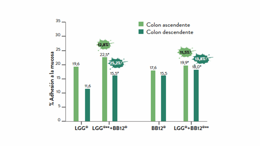 POTENTE SINERGIA DE LGG® + BB12® COMO PROBIOTICOTERAPIA